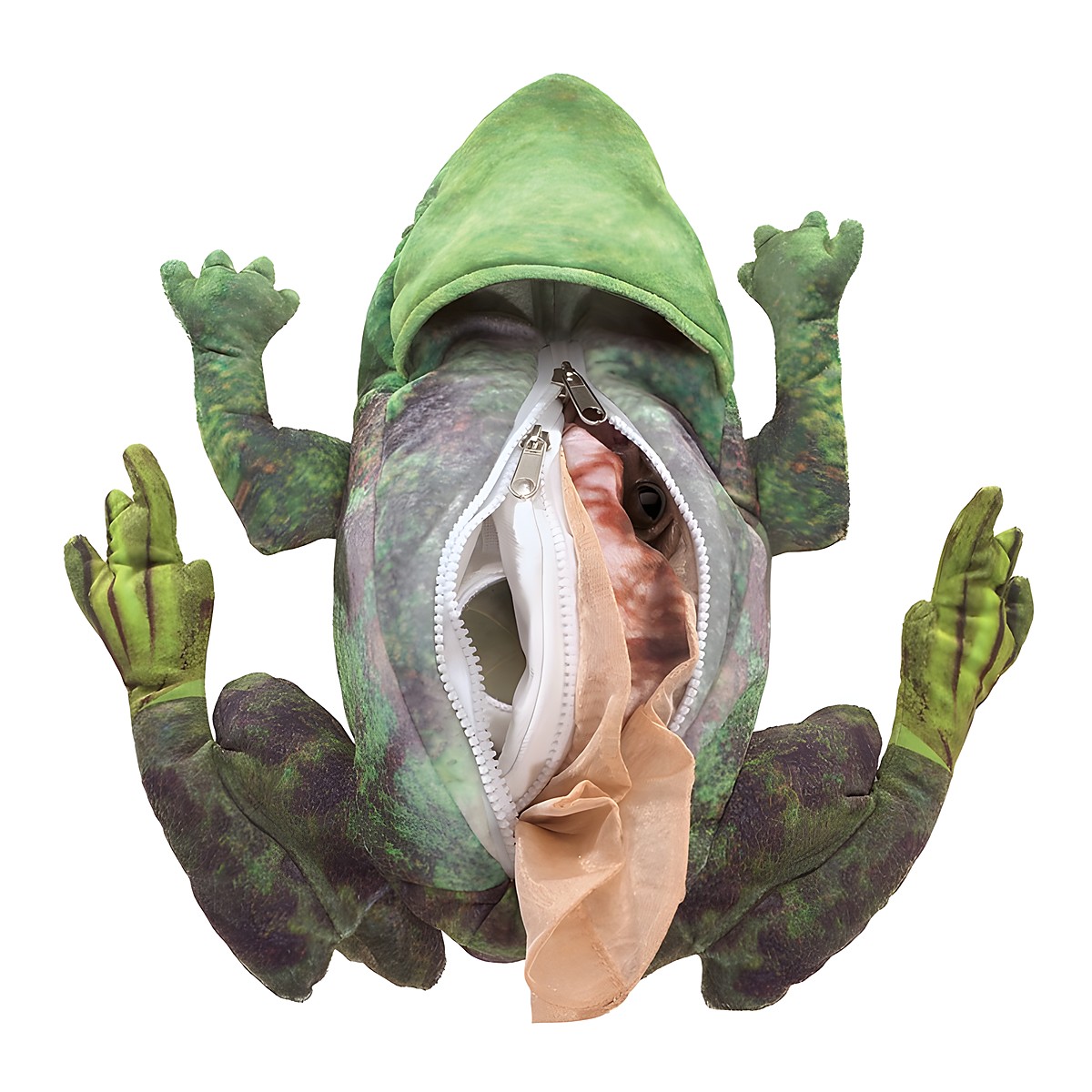 Folkmanis Handpuppe Metamorphose Frosch von unten, Bauchseite mit geöffnetem Reißverschluss und herausragender Kaulquappen-Puppe sichtbar.