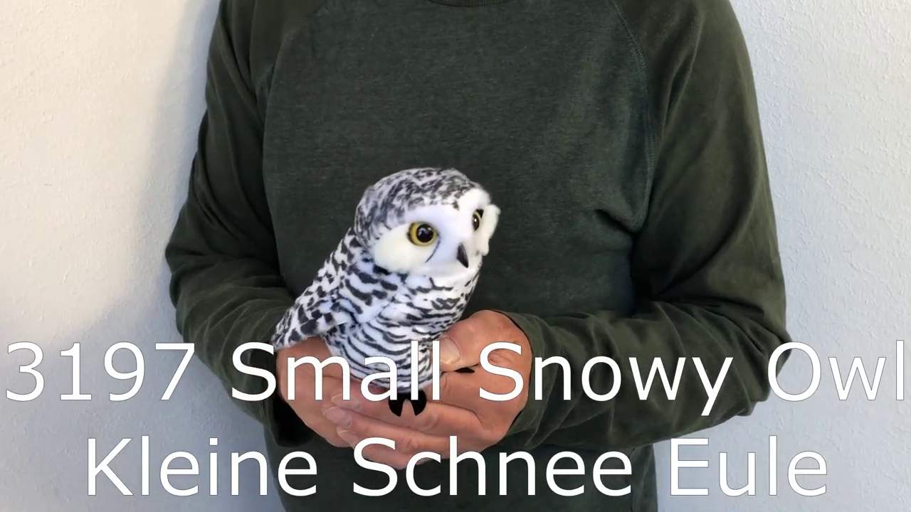 Video 2: Folkmanis Small Snowy Owl Hand Puppet