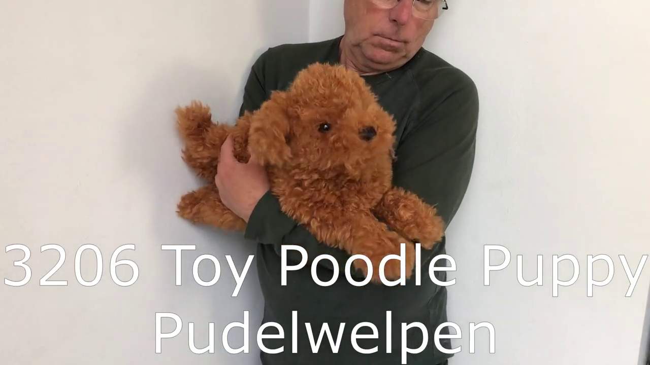 Video 2: Folkmanis Handpuppe Pudelwelpe