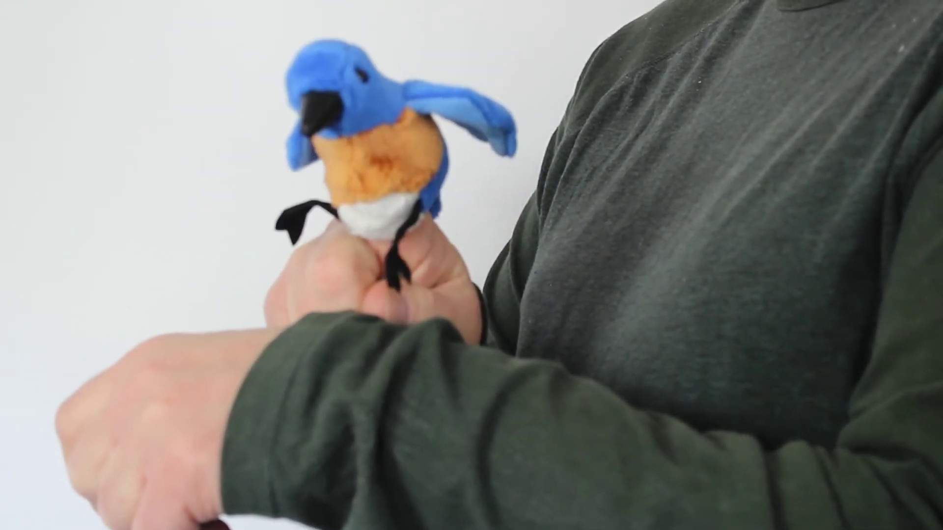 Video 2: Folkmanis Fingerpuppe mini Hüttensänger-Vogel (blau)