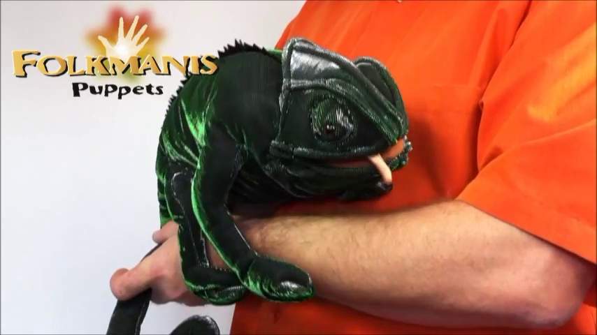 Video 2: Folkmanis Handpuppe Chamäleon
