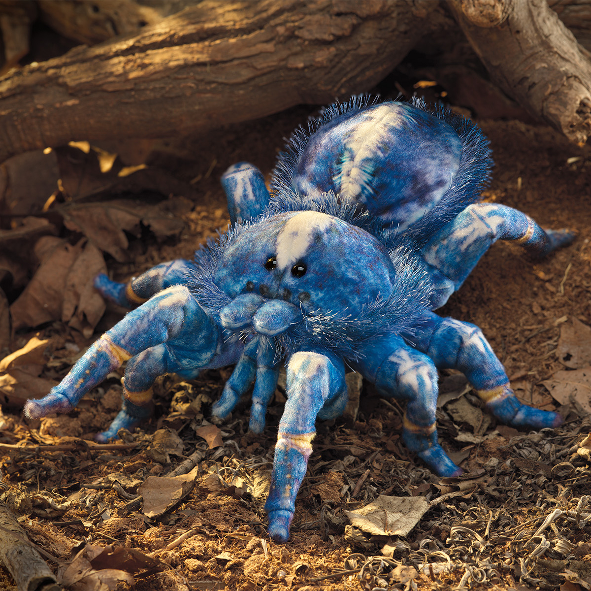 Folkmanis Handpuppe Blaue Vogelspinne aus blau-weißem Plüsch mit acht Beinen und schwarzen Augen, Frontansicht auf Waldboden