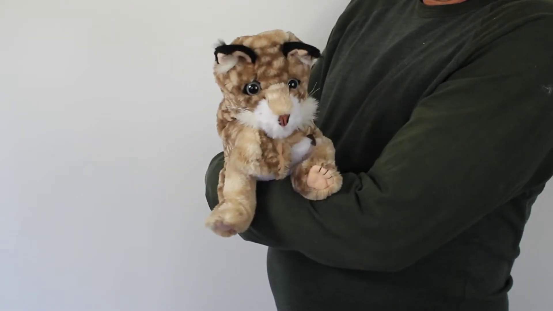 Video 2: Folkmanis Bobcat Kitten Hand Puppet