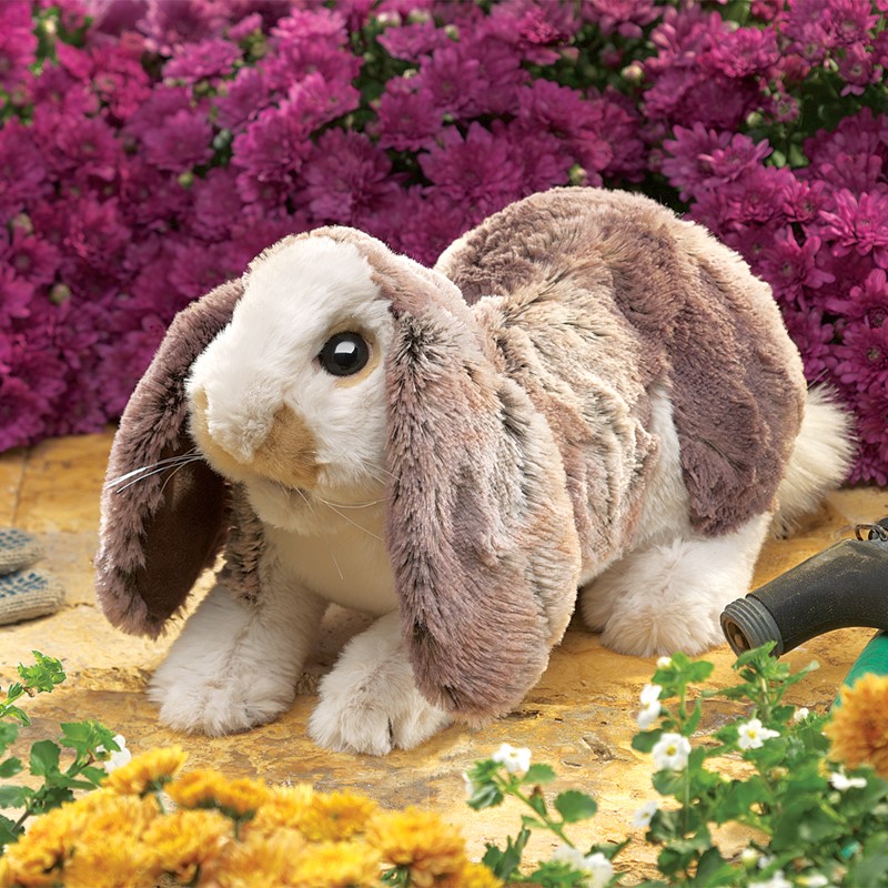Folkmanis Baby Lop Rabbit Hand Puppet Folkmanis Baby Lop Rabbit Hand Puppet - Produktbild 2