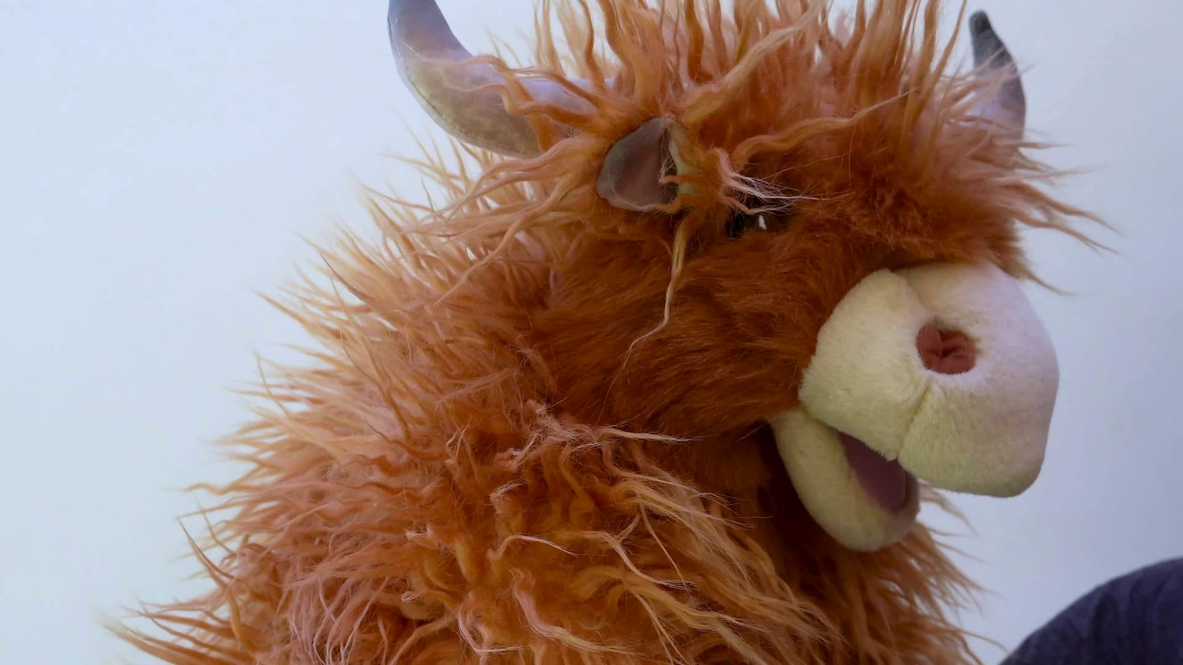 Video 1: Folkmanis Highland Cow Hand Puppet