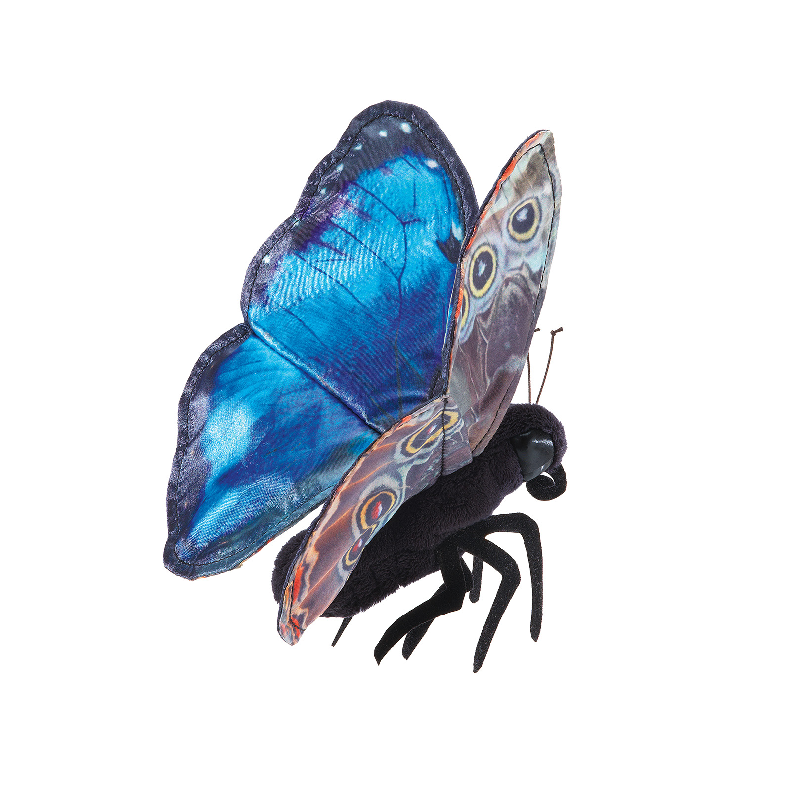 Folkmanis Blauer Morphofalter Folkmanis Blauer Morphofalter - Produktbild 3