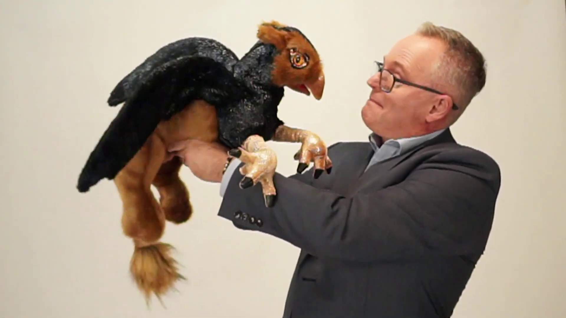 Video 1: Folkmanis Griffin Hand Puppet