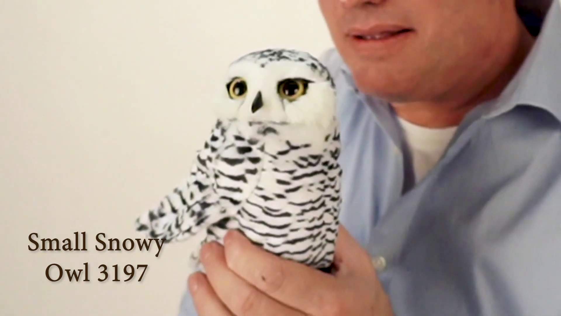 Video 1: Folkmanis Small Snowy Owl Hand Puppet