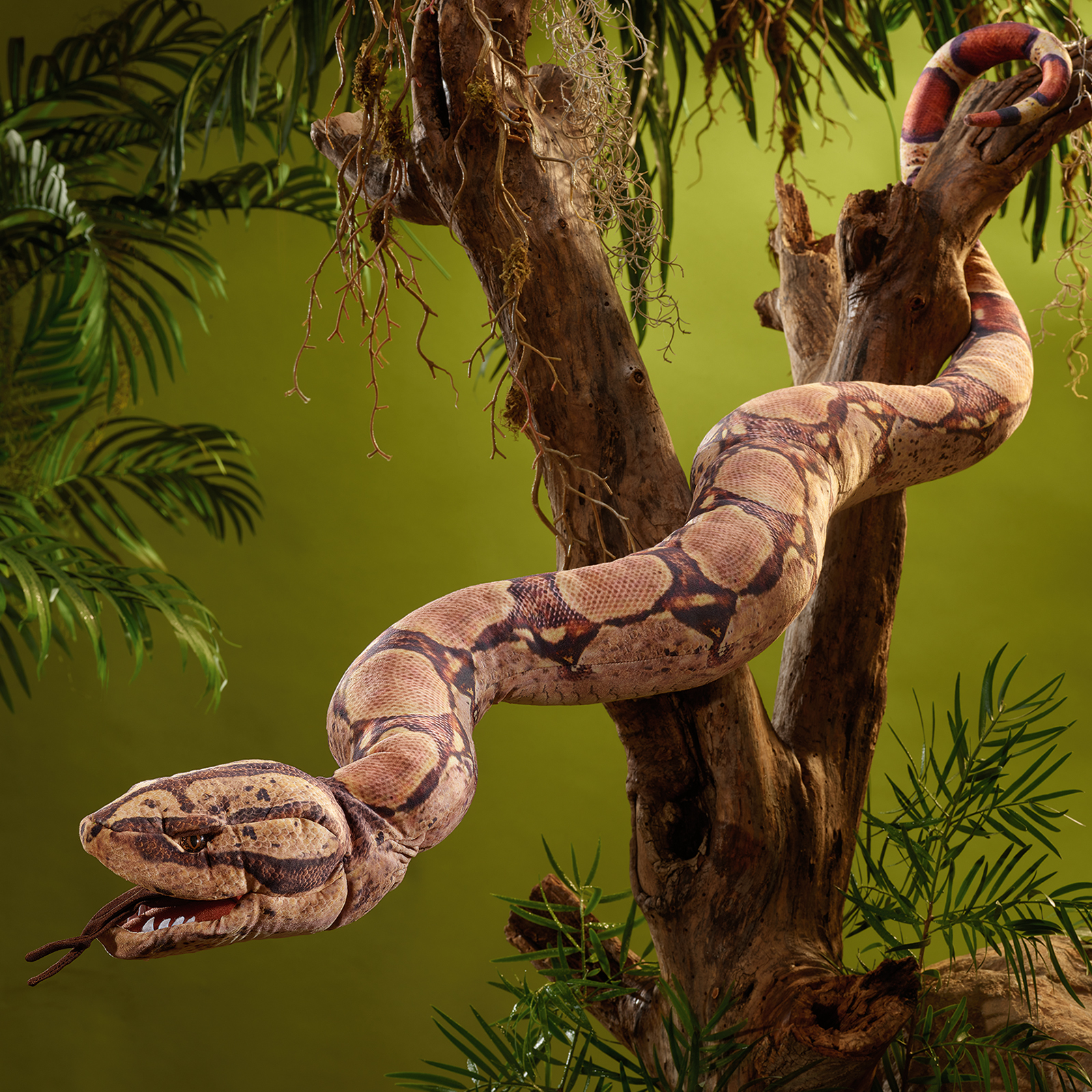 Folkmanis Handpuppe Boa Constrictor um einen Ast gewunden, der Kopf hängt mit geöffnetem Maul nach unten.