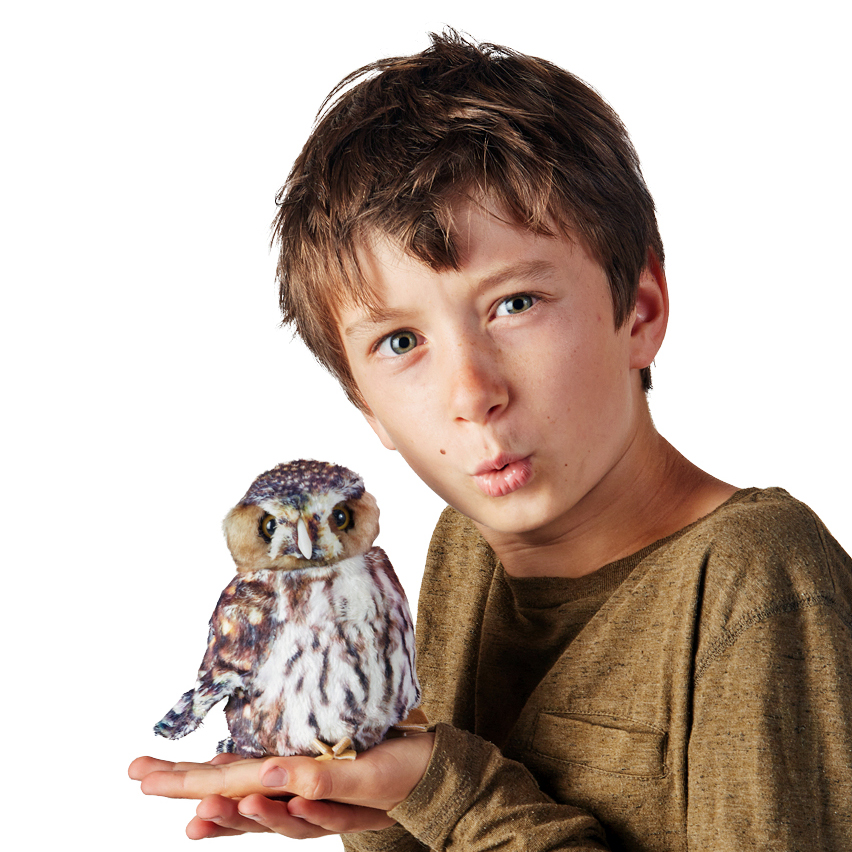 Junge hält eine Folkmanis Handpuppe Sperlingskauz auf seiner offenen Handfläche, braun-weiß gefleckt mit detailreichen Federn.