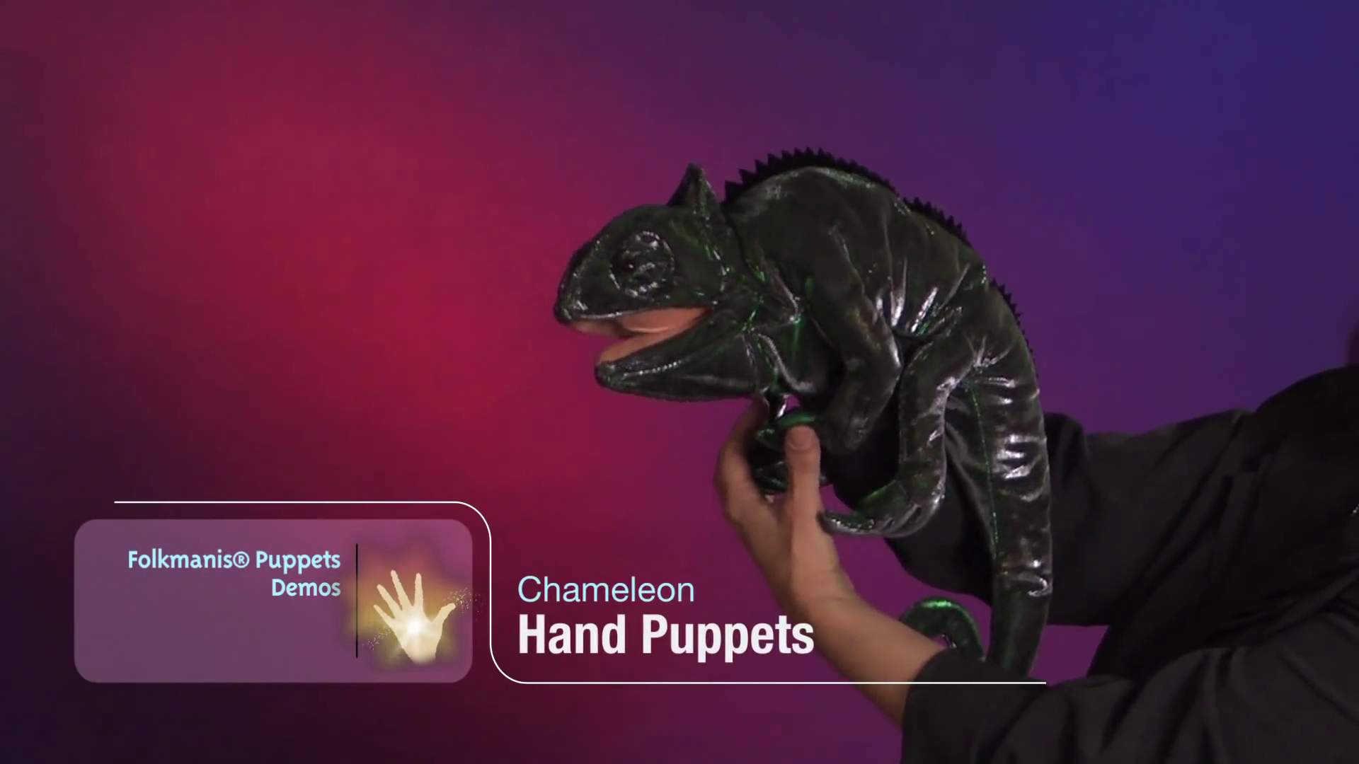 Video 1: Folkmanis Handpuppe Chamäleon