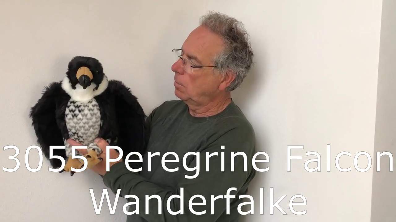 Video 2: Folkmanis Peregrine Falcon Hand Puppet