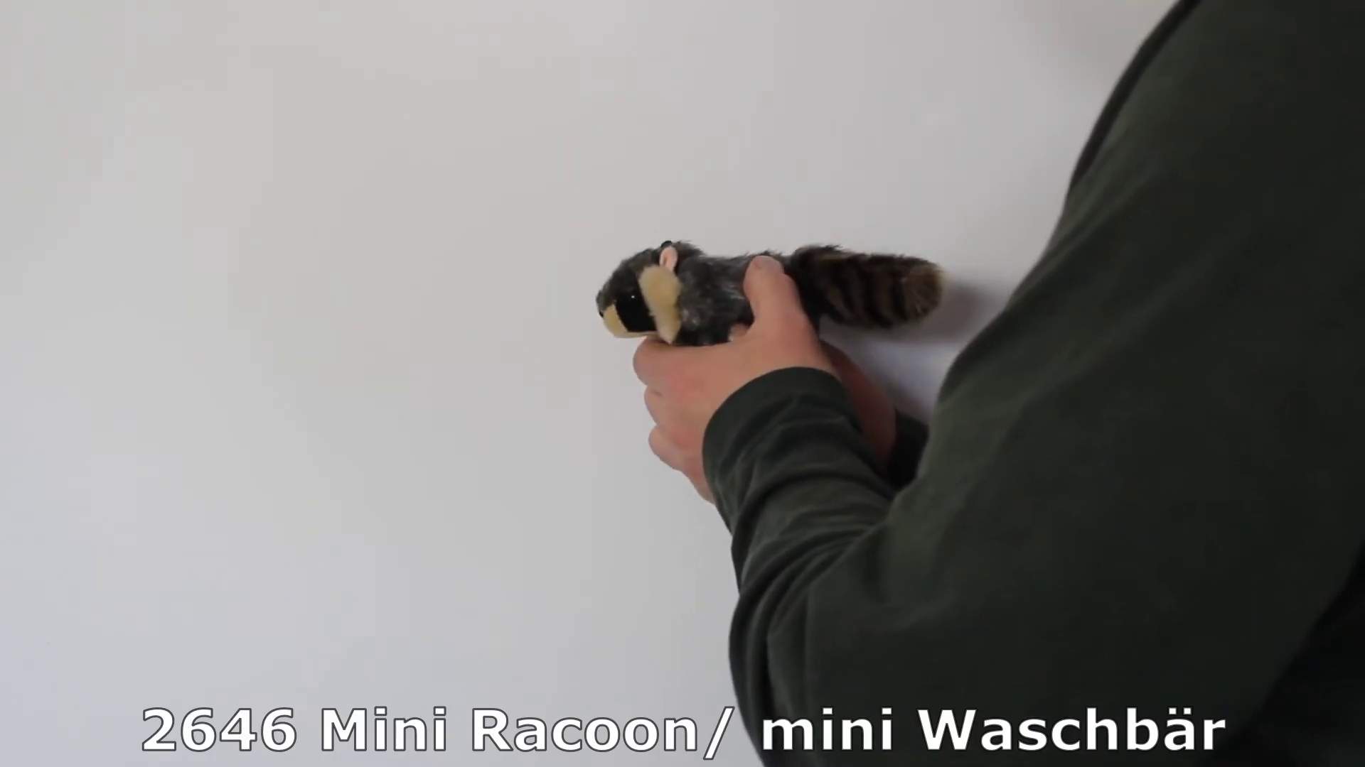 Video 1: Folkmanis Fingerpuppe mini Waschbär