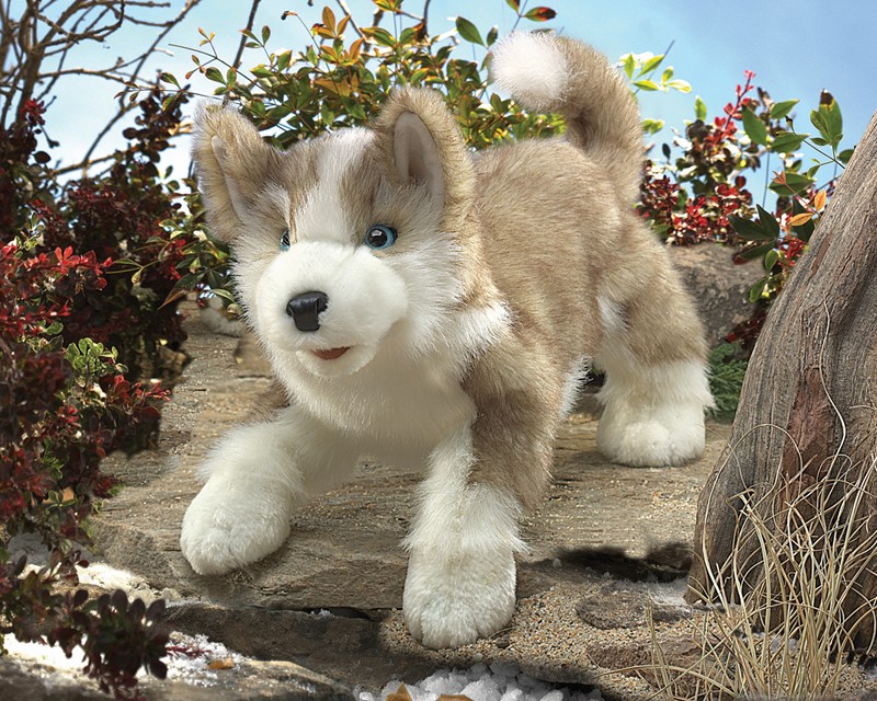 Folkmanis Wolf Pup Hand Puppet Folkmanis Wolf Pup Hand Puppet - Produktbild 3