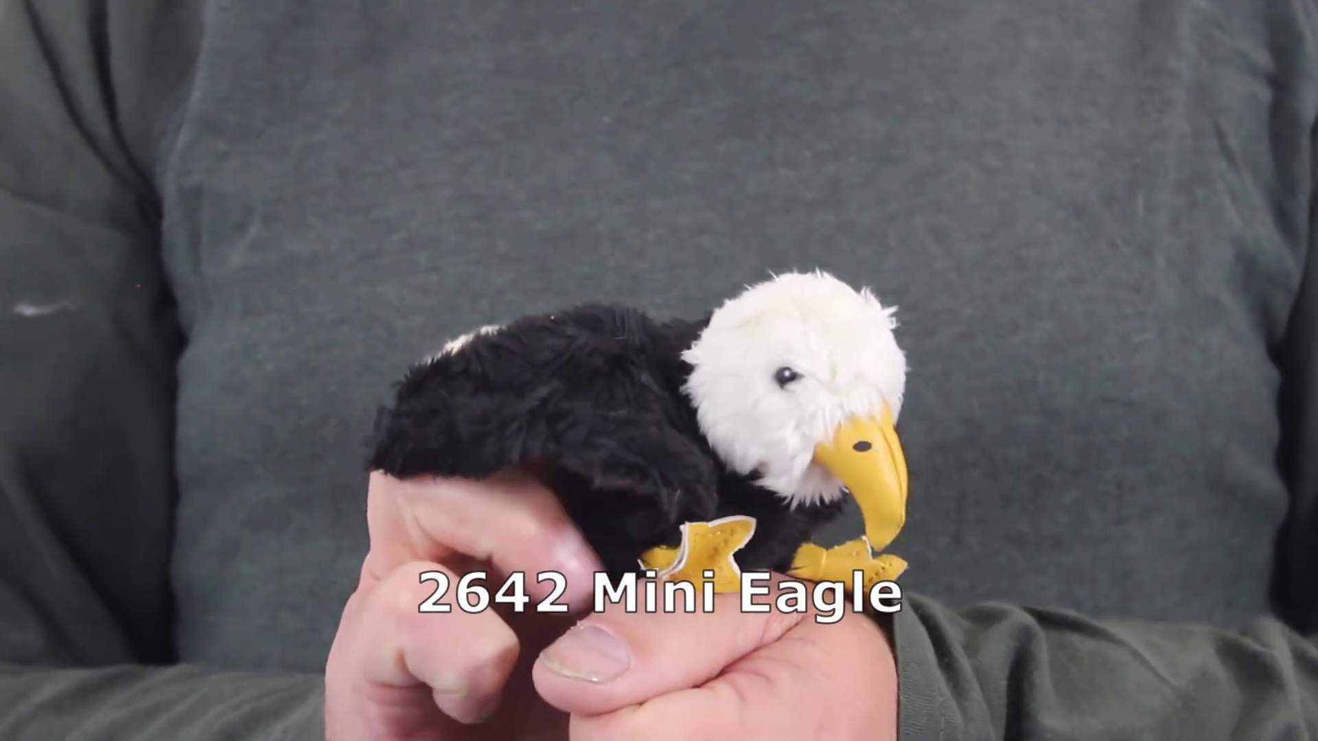 Video 1: Folkmanis Fingerpuppe mini Weißkopfseeadler