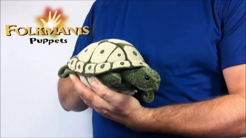 Video 2: Folkmanis Handpuppe Landschildkröte