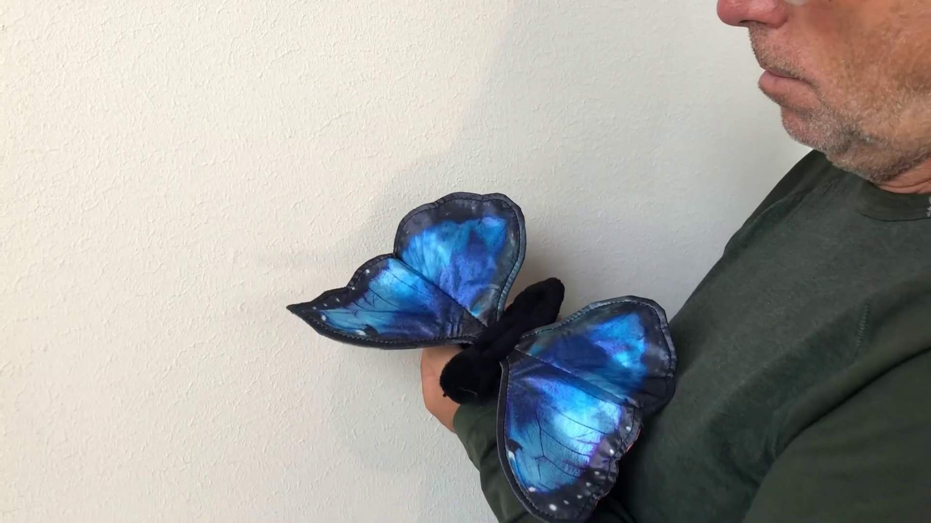 Video 1: Folkmanis Blue Morpho Butterfly Hand Puppet