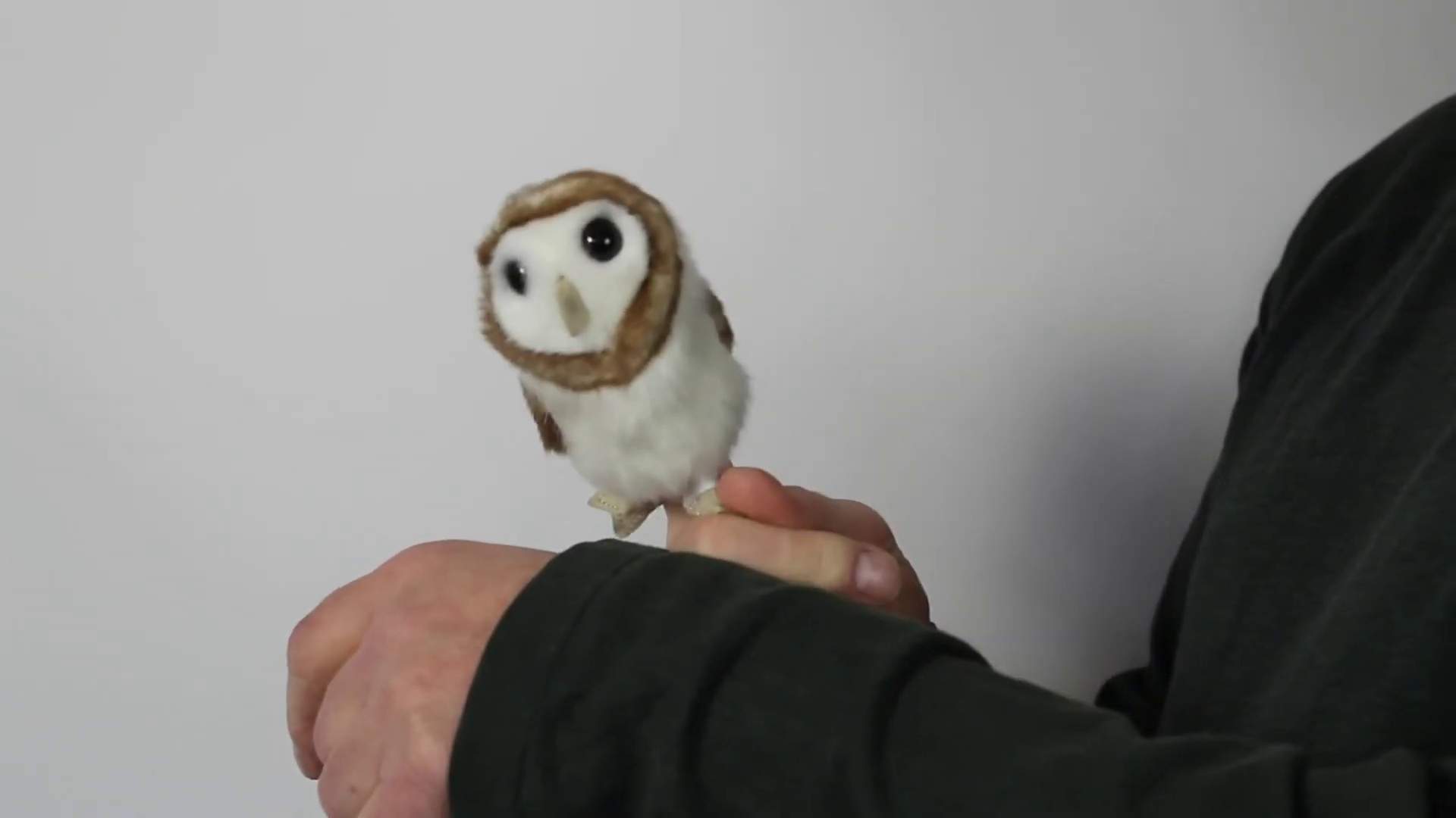 Video 1: Folkmanis Fingerpuppe mini Schleiereule