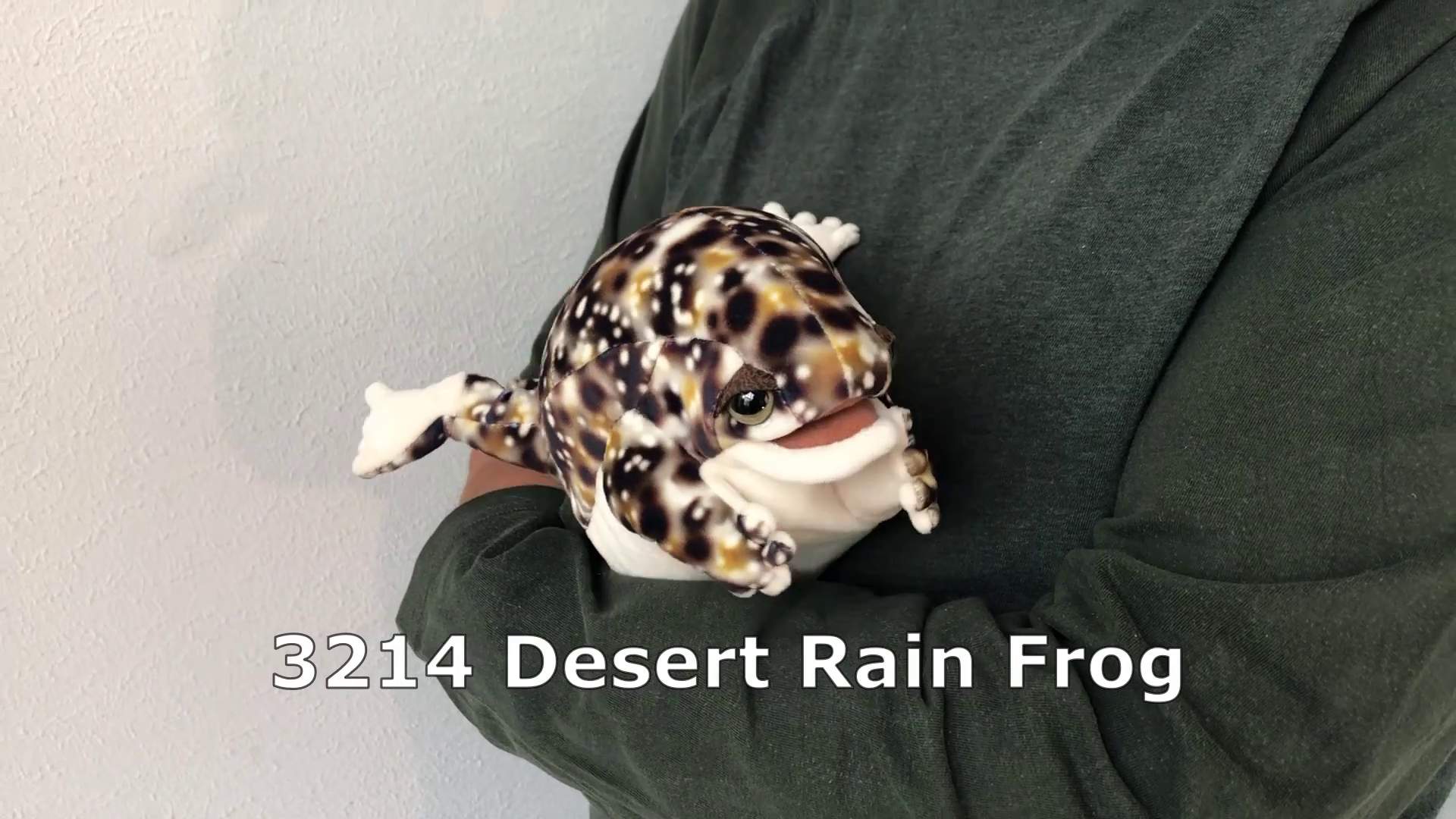Video 1: Folkmanis Desert Rain Frog Hand Puppet
