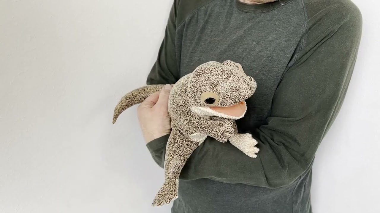 Folkmanis Lizard Hand Puppet Demo