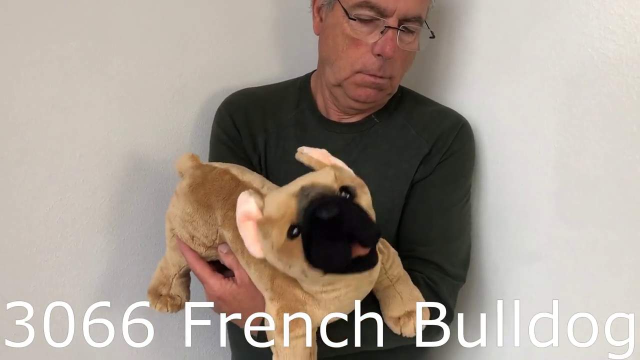 Video 2: Folkmanis French Bulldog Hand Puppet