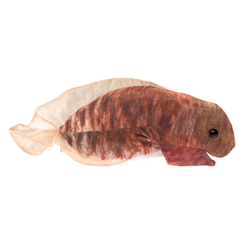 Folkmanis hand puppet frog metamorphosis as a tadpole in brown-red plush with a transparent tail fin, side view