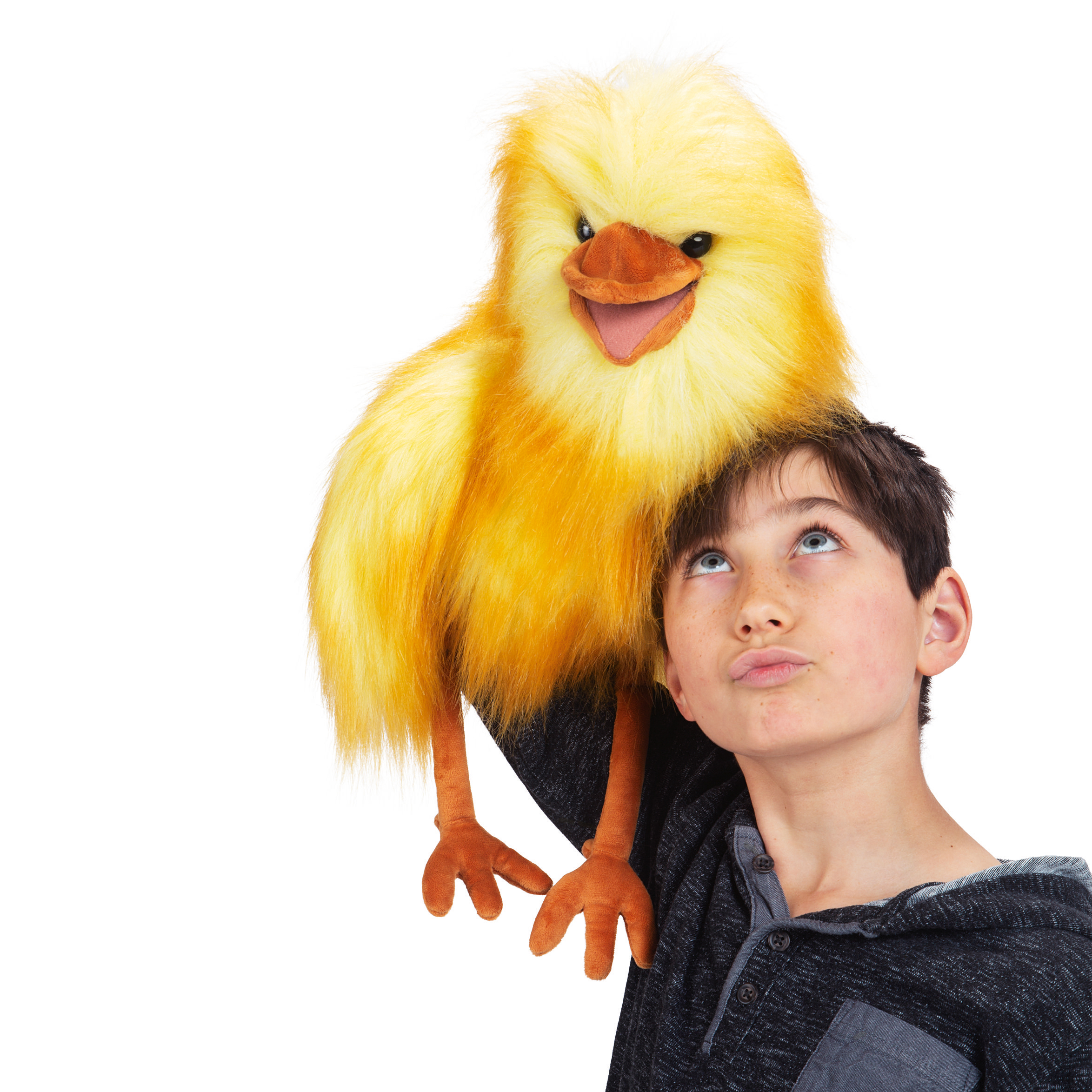 Folkmanis Handpuppe gelber Vogel mit offenem Schnabel sitzt auf der Schulter eines Jungen, der zur Puppe aufschaut.