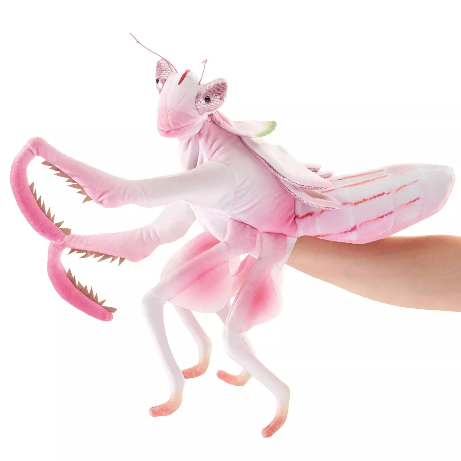 Folkmanis Handpuppe Kronenfangschrecke Folkmanis Handpuppe Kronenfangschrecke - Produktbild 4