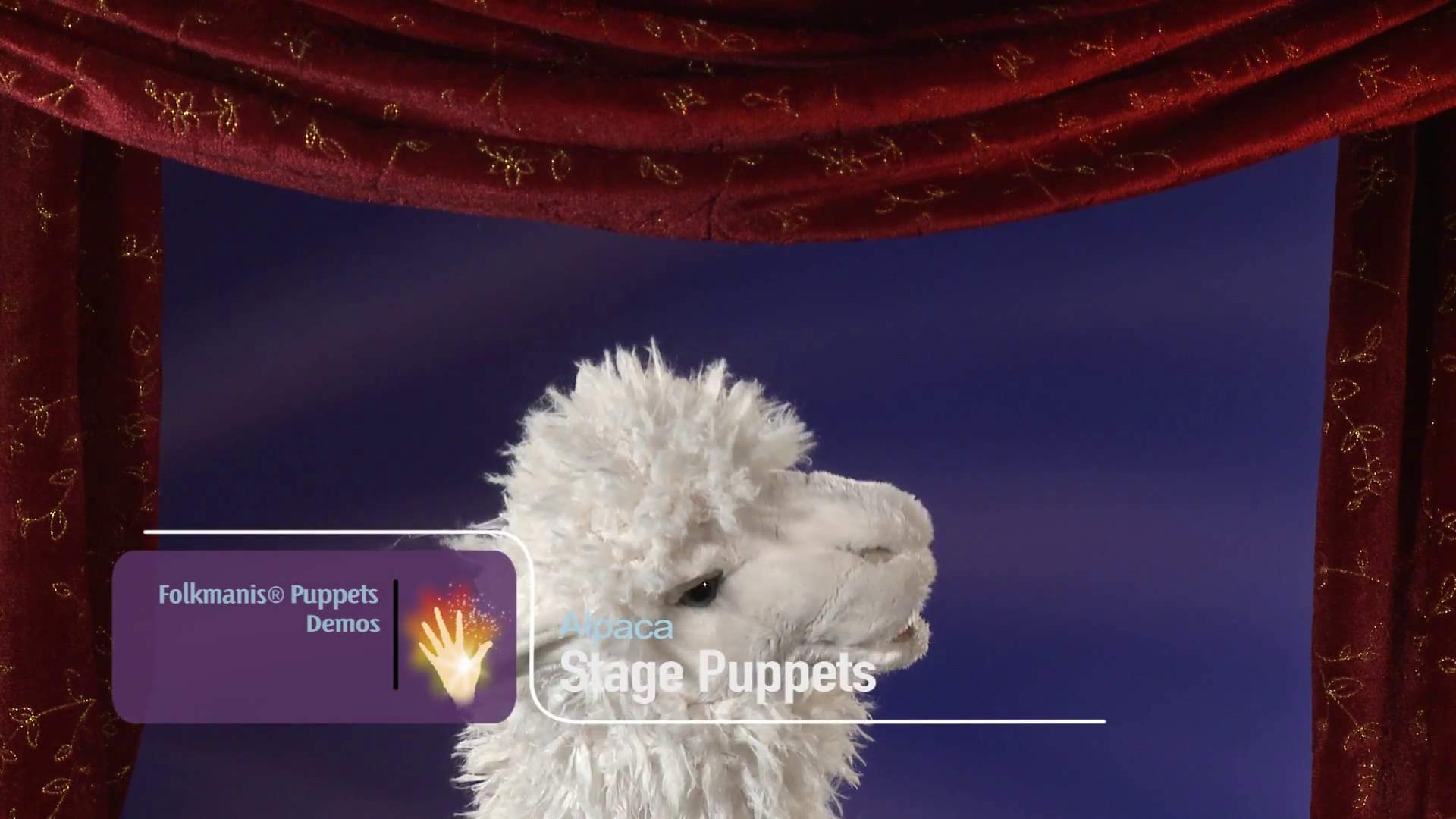 Video 1: Folkmanis Handpuppe Alpaka (Stage Puppet)