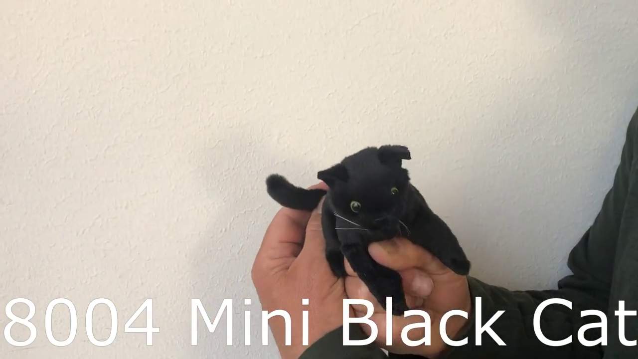 Video 2: Folkmanis Fingerpuppe mini schwarze Katze