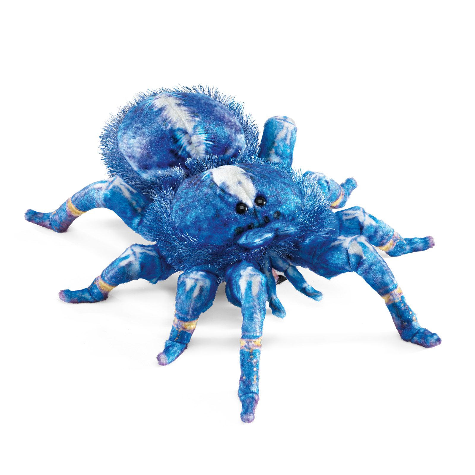 Folkmanis Handpuppe Blaue Ornament-Vogelspinne in leuchtendem Blau mit weißen Flecken, gelb-violetten Beingelenken und schwarzen Augen, Schrägansicht