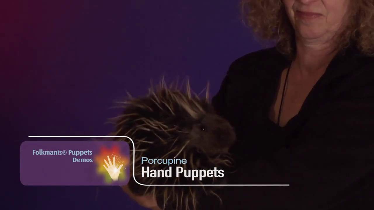 Video 2: Folkmanis Handpuppe Stachelschwein