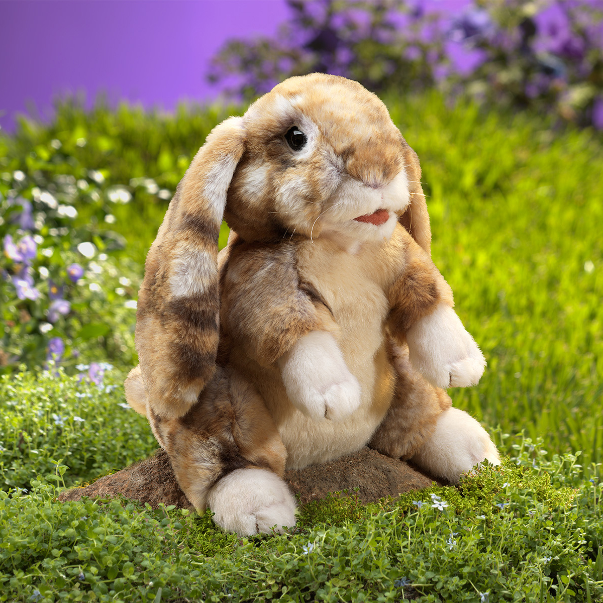Folkmanis Handpuppe Hängeohrhase in Brauntönen, aufrecht sitzend mit herabhängenden Ohren, auf einem Erdstück vor grüner Wiese