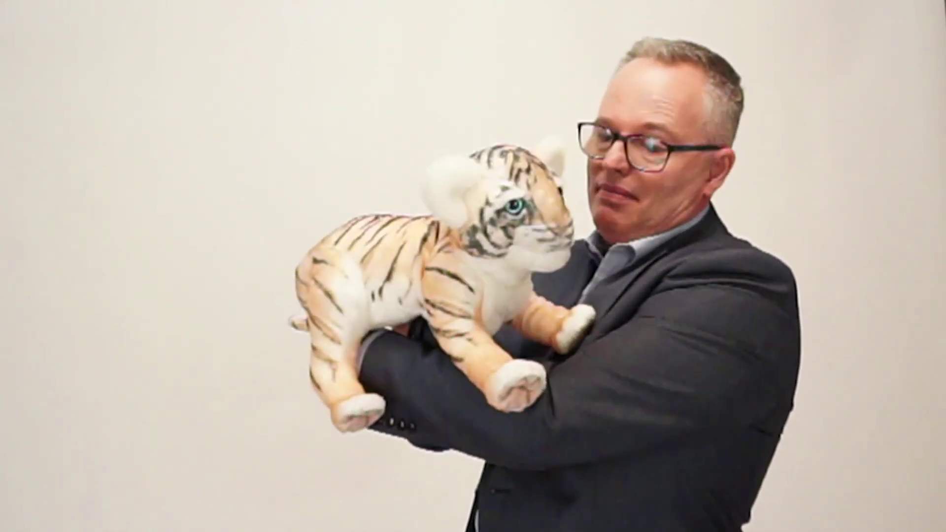 Video 1: Folkmanis Baby Tiger Hand Puppet