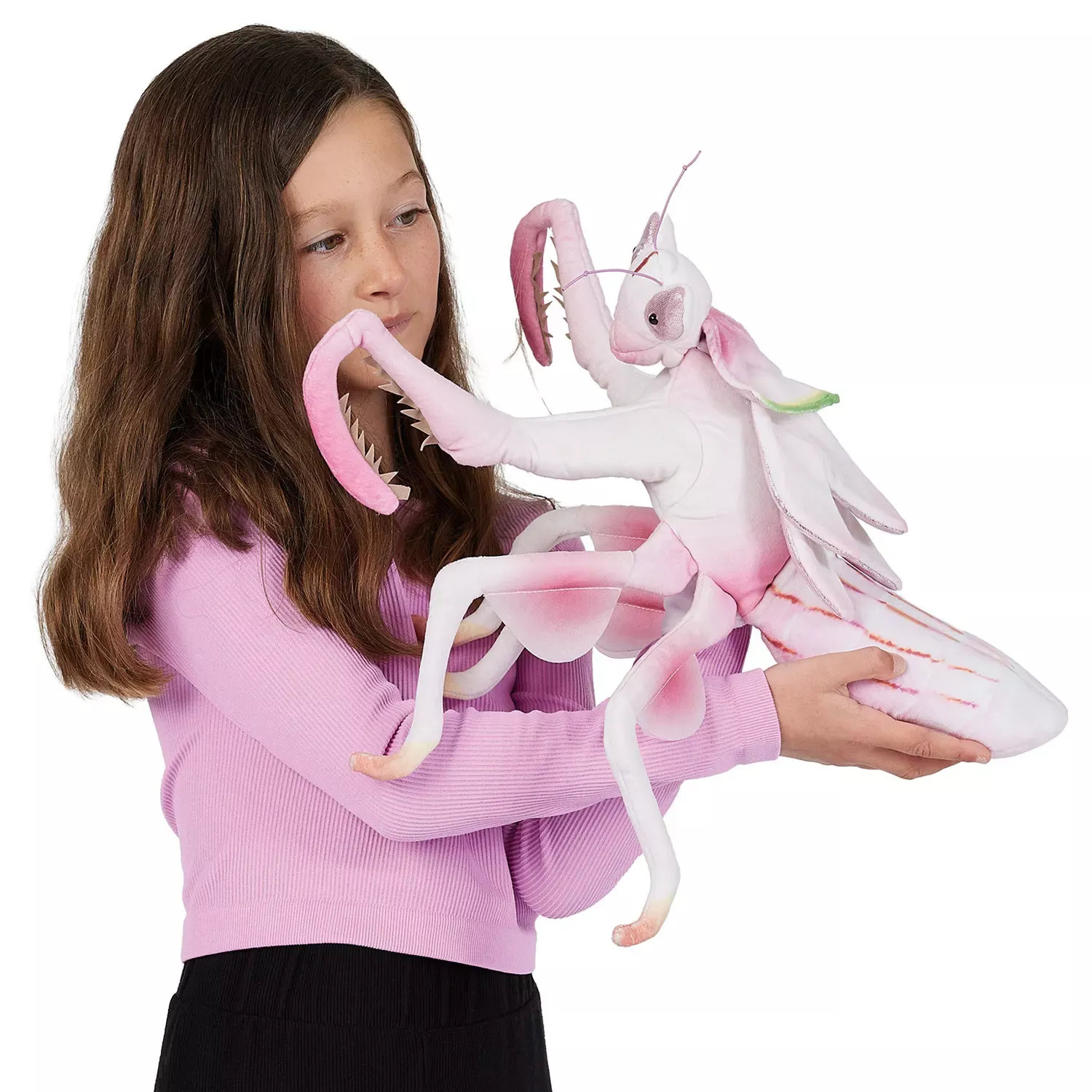 Mädchen hält Folkmanis Handpuppe Kronenfangschrecke in Rosa-Weiß mit detaillierten Flügeln und Fangarmen vor weißem Hintergrund
