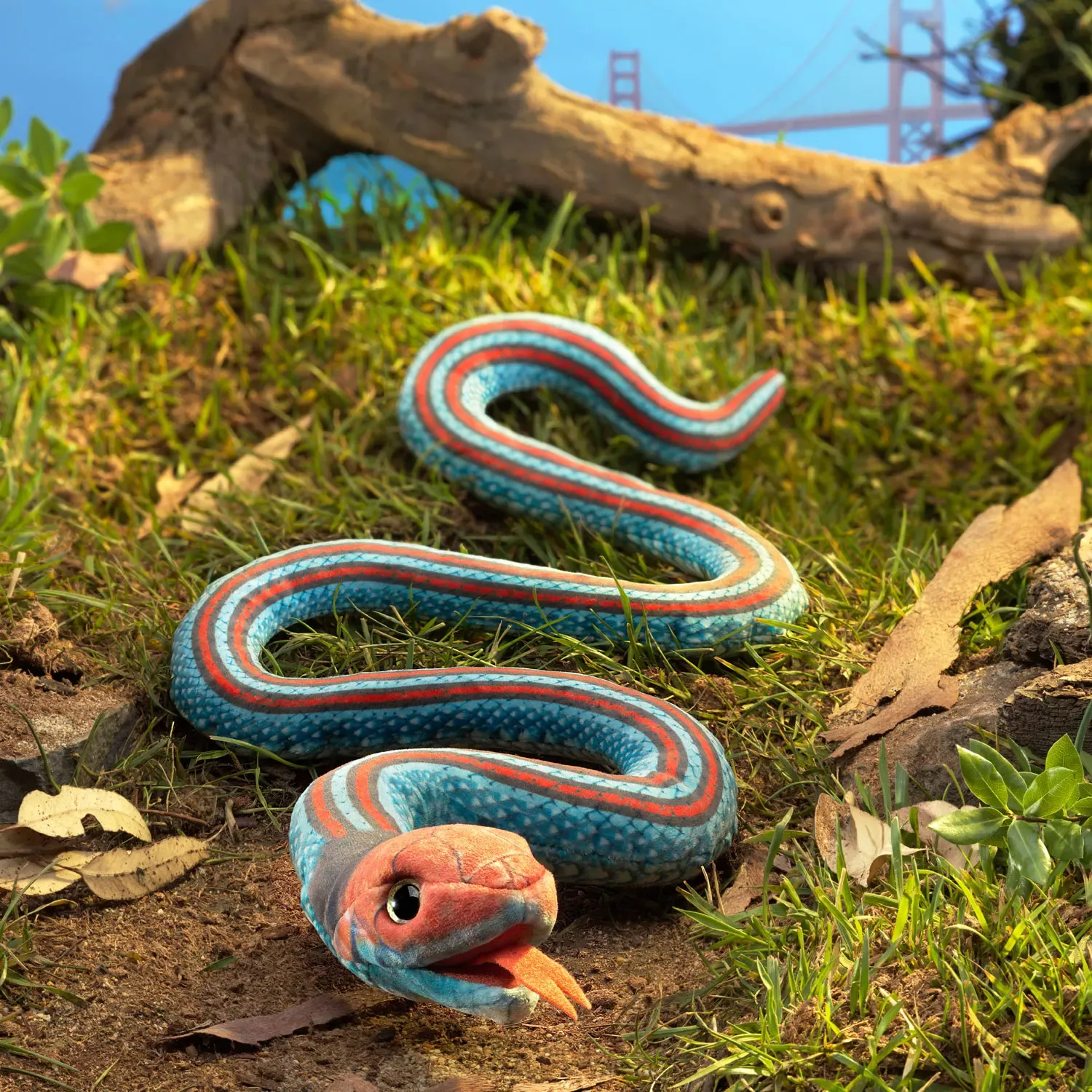 Folkmanis finger puppet San Francisco garter snake in blue and red with open mouth, in a coiled pose on a forest floor with a branch in the background