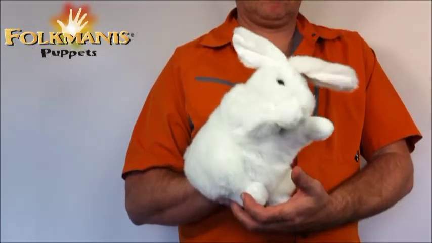 Video 2: Folkmanis Standing White Rabbit Hand Puppet