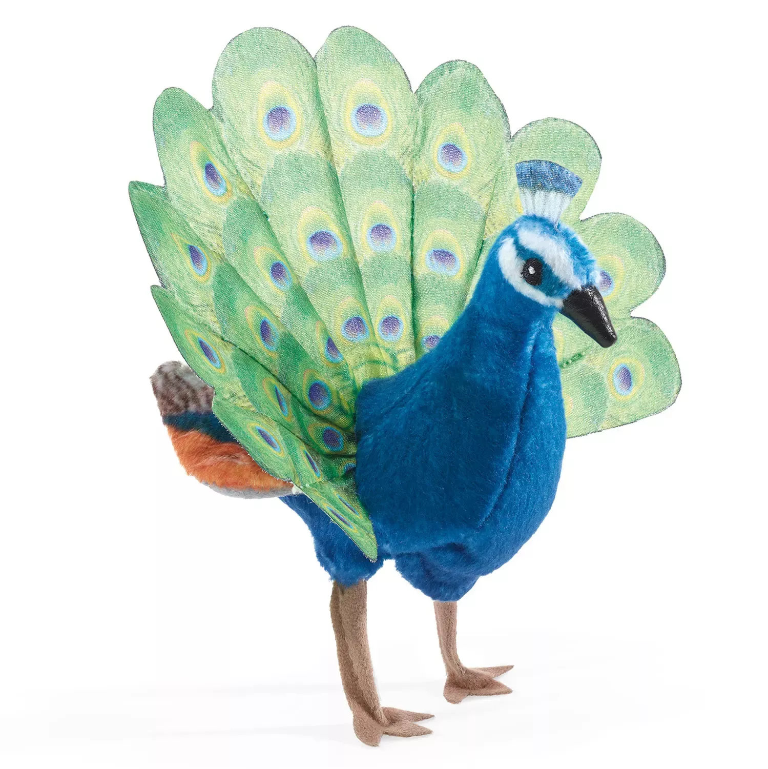 Folkmanis Fingerpuppe mini Pfau mit aufgefächertem grünen Rad, blauem Körper und Augenflecken-Muster, stehend in Seitenansicht