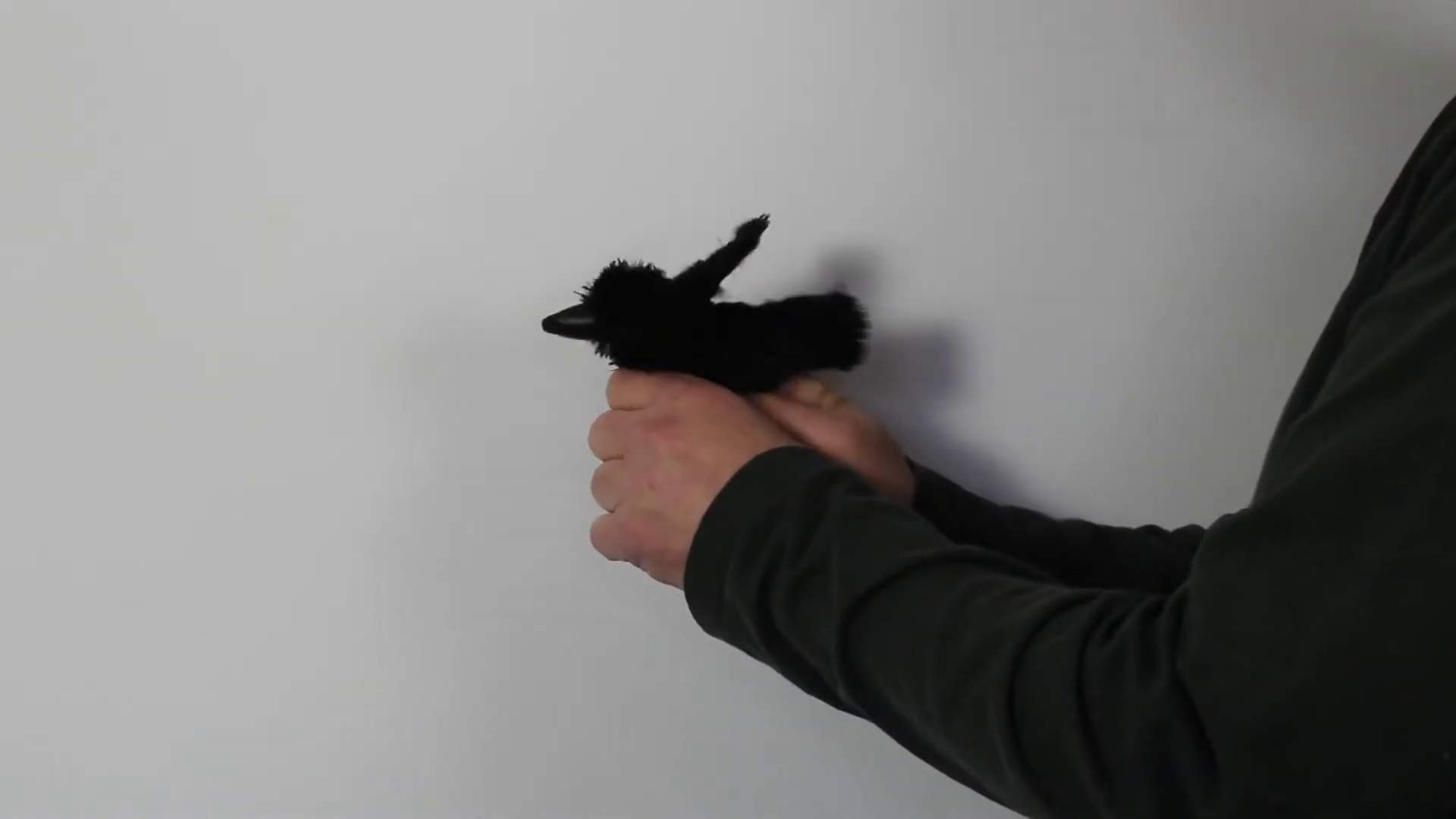 Video 1: Folkmanis Fingerpuppe mini Rabe