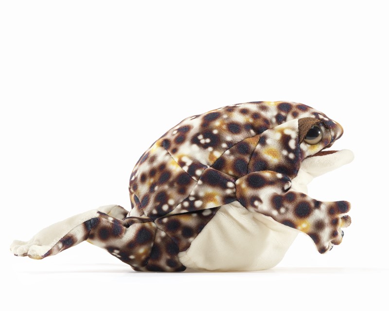 Folkmanis Desert Rain Frog Hand Puppet - Produktbild 3
