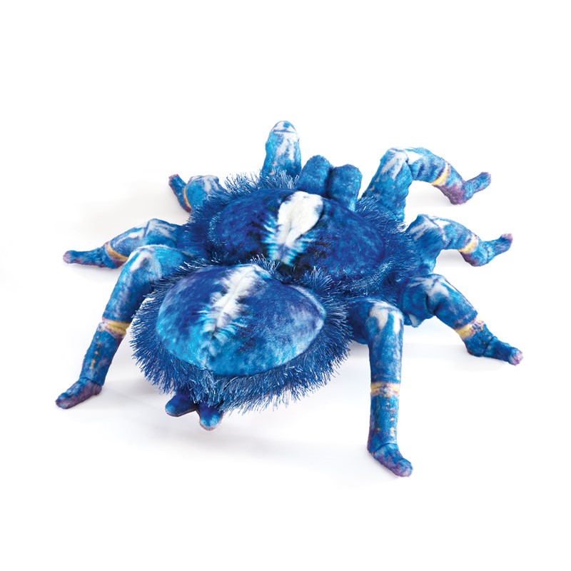 Folkmanis Handpuppe Blaue Ornament-Vogelspinne Folkmanis Handpuppe Blaue Ornament-Vogelspinne - Produktbild 3