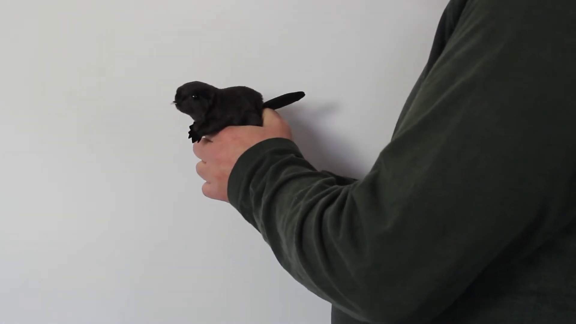 Video 1: Folkmanis Fingerpuppe mini Biber