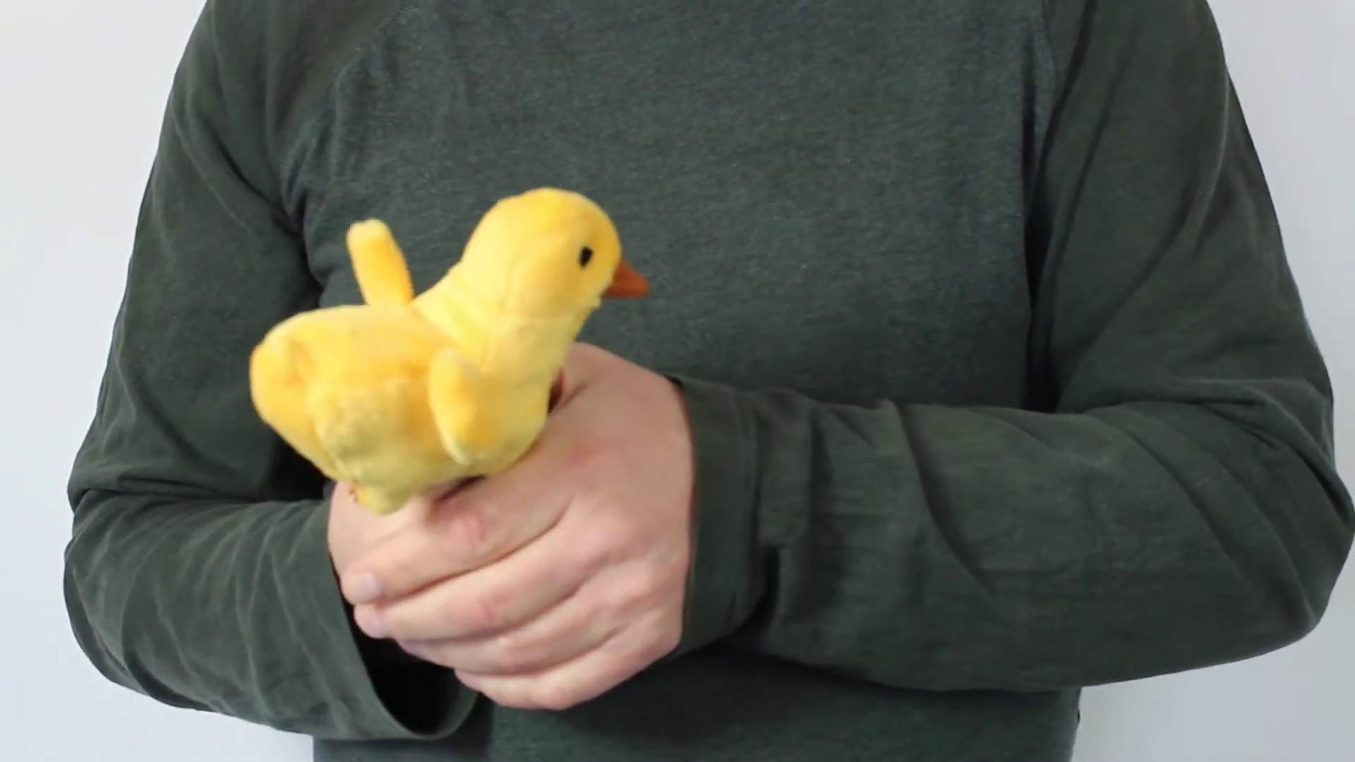 Video 1: Folkmanis Mini Duckling Finger Puppet