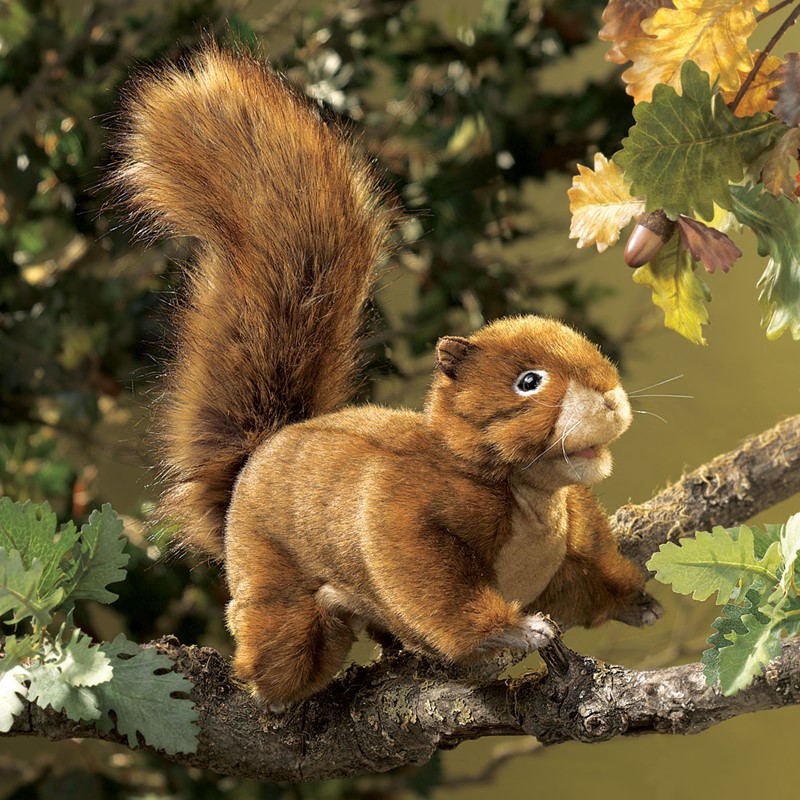 Folkmanis Handpuppe rotbraunes Eichhörnchen mit buschigem Schwanz sitzt auf einem Ast zwischen Eichenlaub
