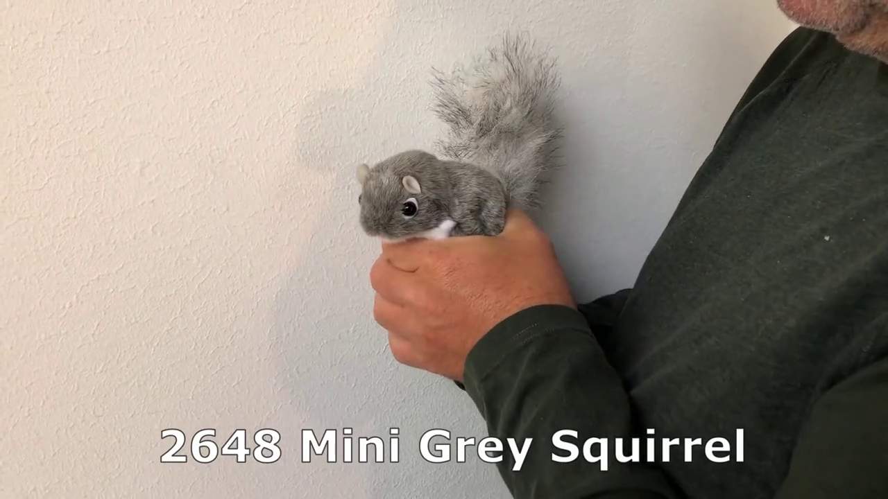Video 1: Folkmanis Fingerpuppe mini Eichhörnchen, grau