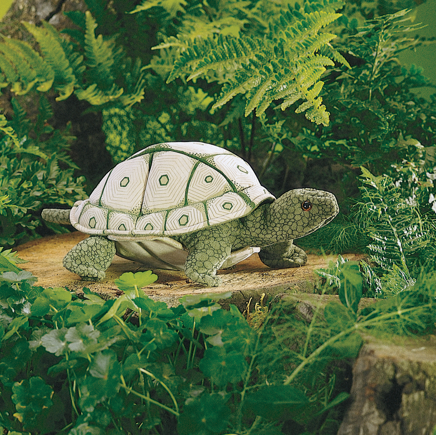 Folkmanis tortoise hand puppet with a cream-coloured shell and green scales, posed on a tree stump surrounded by ferns