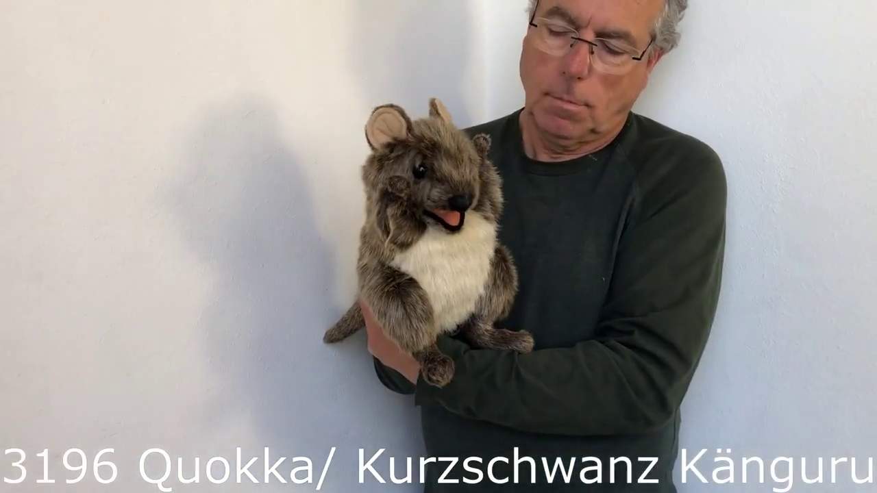 Video 2: Folkmanis Quokka Hand Puppet