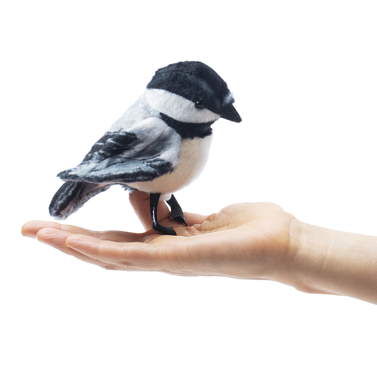 Folkmanis Mini Chickadee Finger Puppet Folkmanis Mini Chickadee Finger Puppet - Produktbild 3