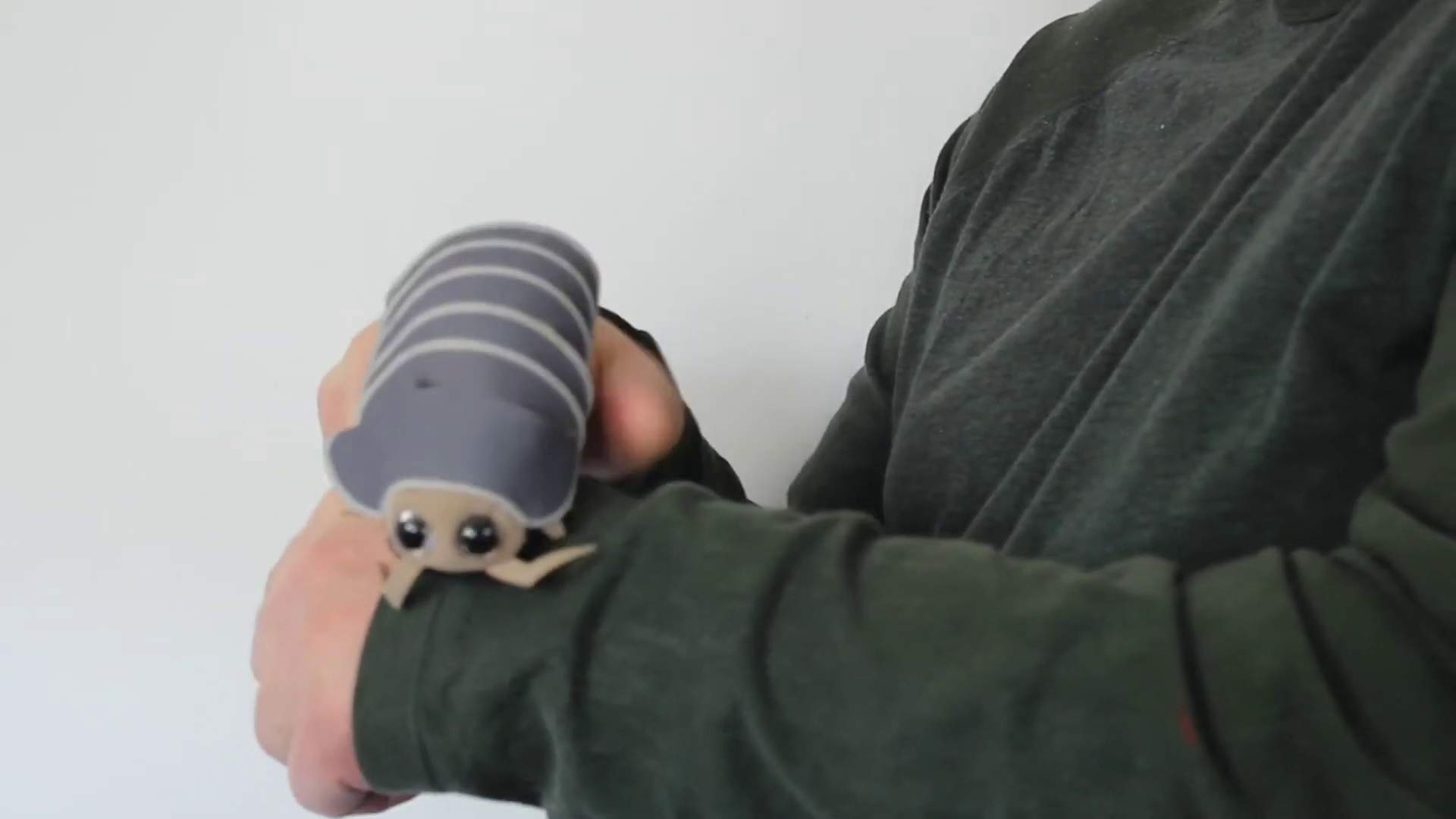 Video 1: Folkmanis Fingerpuppe mini Assel