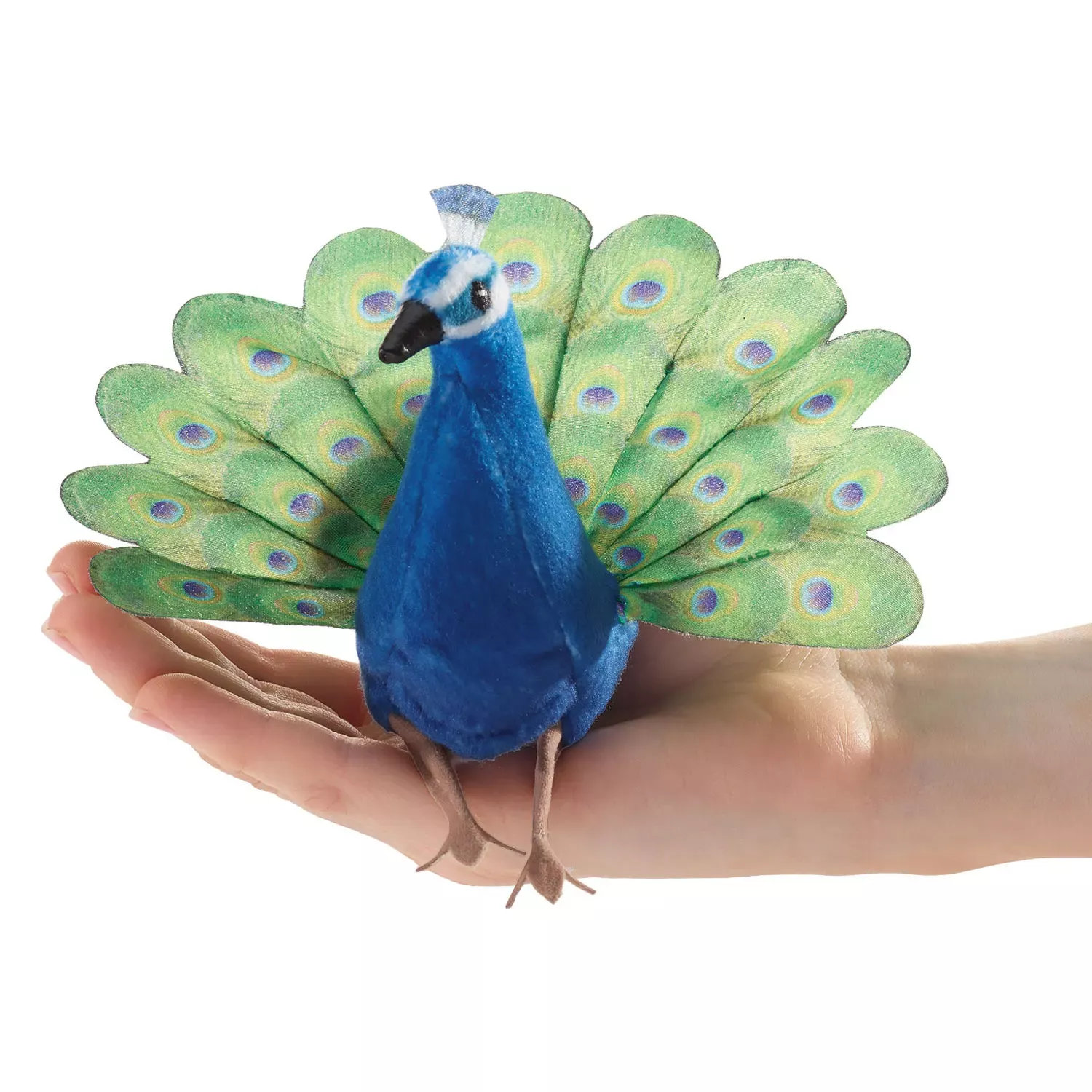 Folkmanis Fingerpuppe mini Pfau mit blauem Plüschkörper und aufgefächertem grünen Rad, auf einer Handfläche balanciert